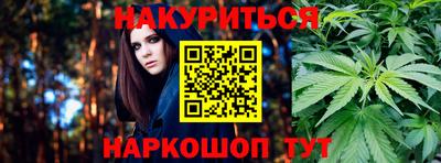 трава Кингисепп