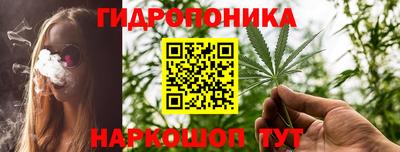 трава Кингисепп