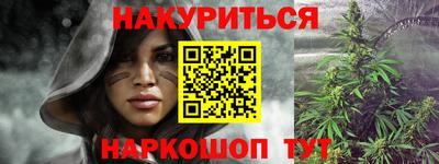 трава Кингисепп