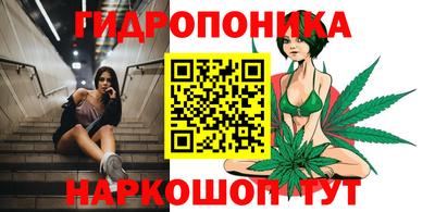 трава Кингисепп