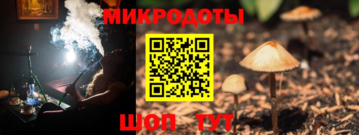 Псилоцибиновые грибы мухоморы  Галлюциногенные грибы Cubensis  Куйбышев  Вход с VPN 